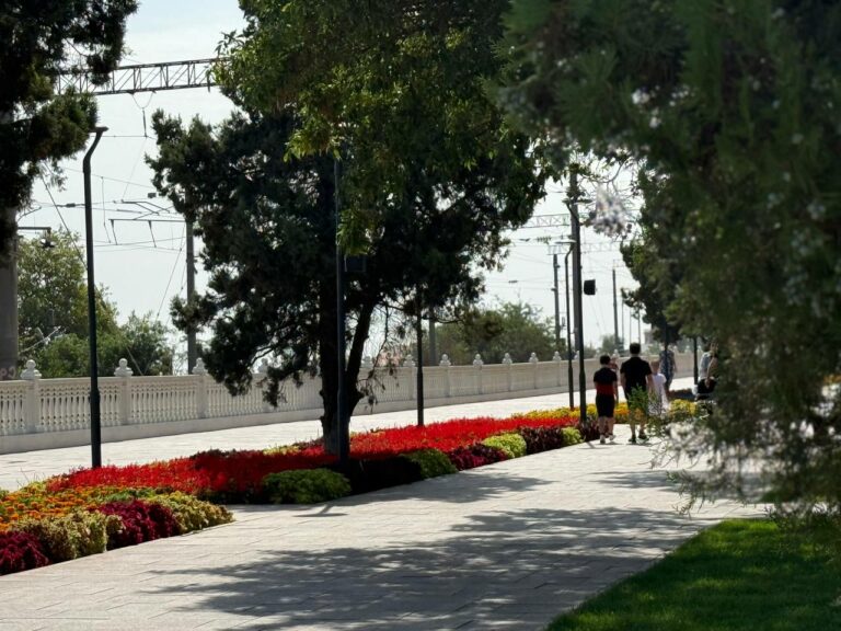 В Махачкале высадят рекордные 227 тысяч цветов